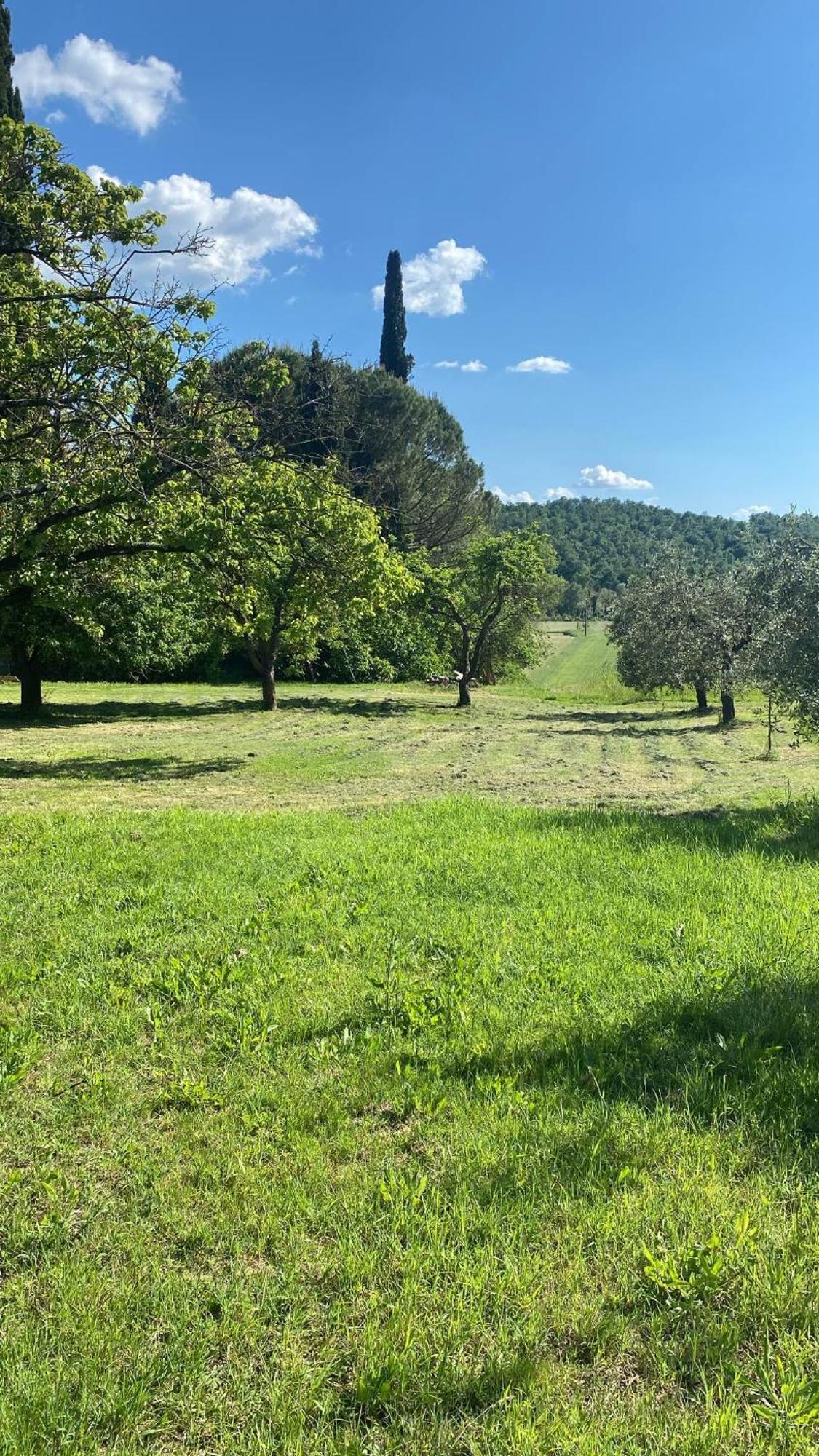 Casa Vacanze Podere San Giusto Volterra Exterior photo